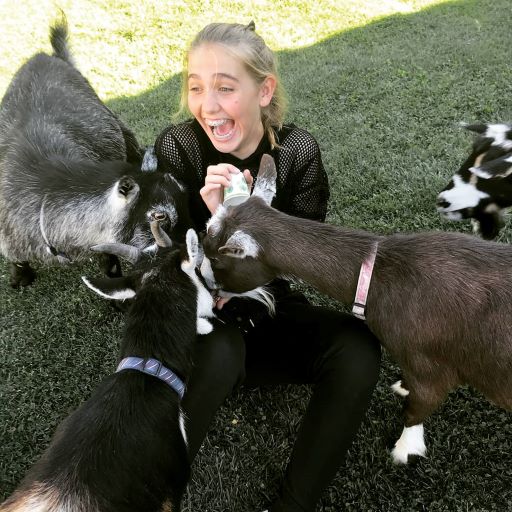 Annie with goats